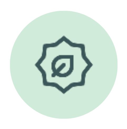 eco energy pictogram