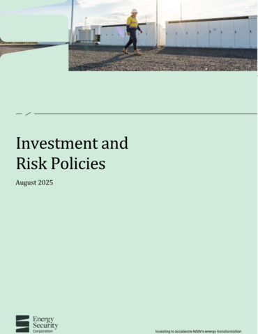 Publication cover for investment and risk policies