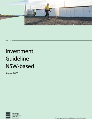 Publication cover for investment guideline NSW-based